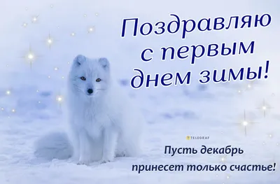 1 Декабря - Первый День зимы | С Днем Рождения Открытки Поздравления на  День | ВКонтакте