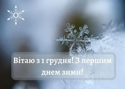 ❄ Поздравляю с 1 декабря, с Первым днем Зимы! ❄ Желаем свежих эмоций,  сказочного настроения, восхищения, радости,.. | ВКонтакте