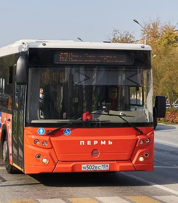 Старые (советские) новогодние открытки » СССР - Добро пожаловать на  патриотический сайт, посвящённый стране, в которой мы родились - Союзу  Советских Социалистических Республик (СССР)