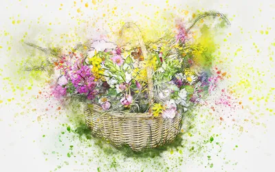 Выбираем садовые и полевые цветы для составления букетов Блог - полезные  статьи о цветах, уход за букетом