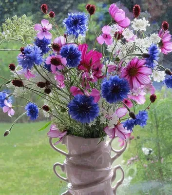 Цветочный сет с полевыми цветами \"Сон в летнюю ночь\" - заказать доставку  цветов в Москве от Leto Flowers