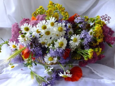 Красивый букет полевых цветов для женщины - 78 фото