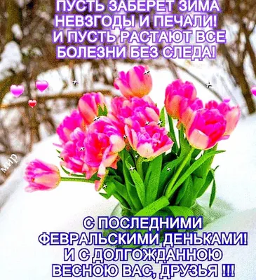 С последним 🌷☃️🌷 днем Зимы! | Зима, Открытки, Весна