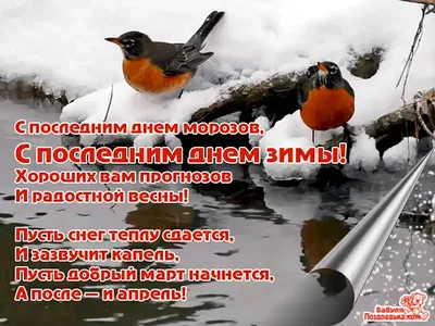 С последним днём зимы завтра уже настанет календарная весна или пришёл  марток одевай семь порток | Тихая семейка | Дзен