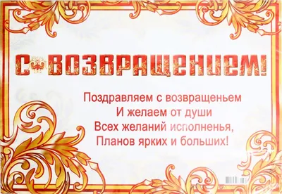 Гирлянда \"С возвращением домой!\", 250 см, Дембель - купить за 325 руб |  Москва | УстройПраздник.ру