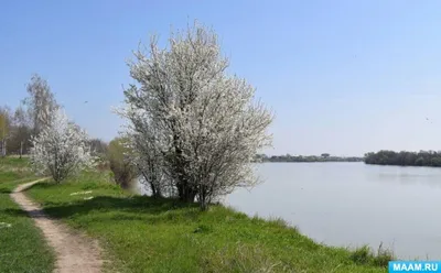 Отпразднуйте приход весны с нашей акцией “Весенняя перезагрузка”🥭 3.5 часа  полного релакса Что входит в программу? Инфракрасная сауна + … | Instagram