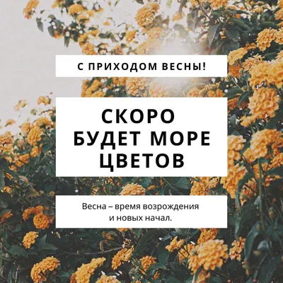 А вы уже почувствовали, как с приходом весны оттаивают желания? »  vseverske.info