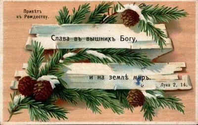Как поздравить православного с Рождеством в 2024 году - Греческие новости -  greekreporter.com