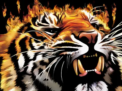 Тигры, тигрицы и тигрята - фото и обои, tigers wallpapers