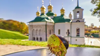 Церковные православные праздники в ноябре 2022 в России: календарь на месяц