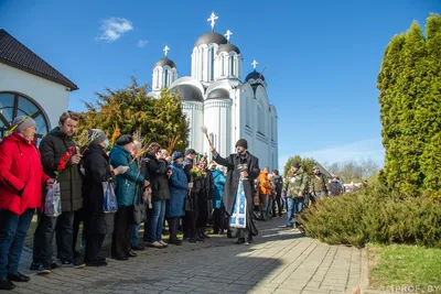 Картинки вербы - 72 фото