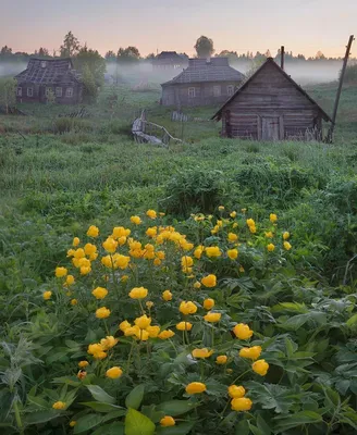 Романтический Париж Весной — стоковые фотографии и другие картинки Эйфелева  башня - Эйфелева башня, Розовый, Париж - Франция - iStock