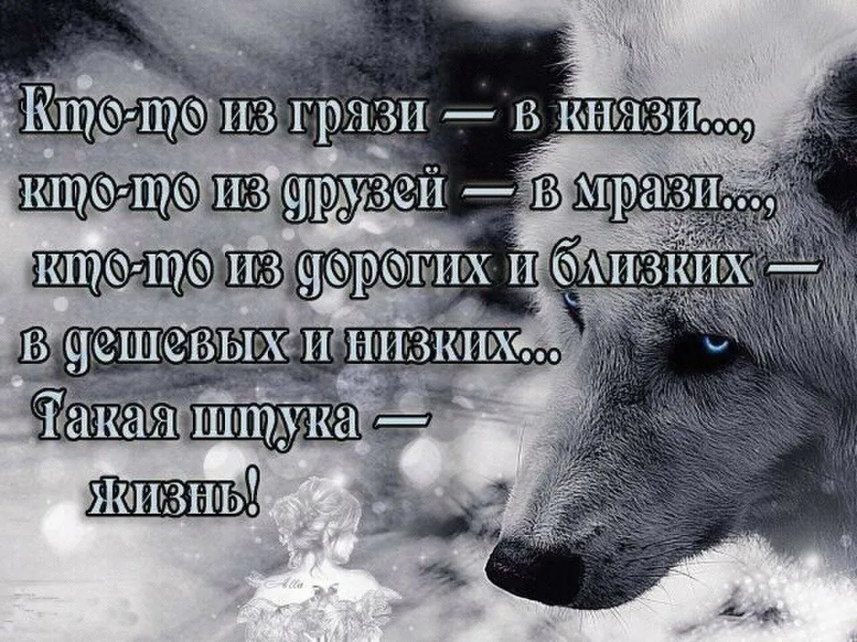 Надписи разные со смыслом. Статусы про жизнь. Красивые цитаты про жизнь. Статусы в картинках. Красивые слова про жизнь.