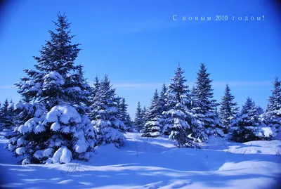 Рисунки на зимнюю тематику - 54 фото
