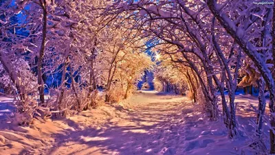 Интерьерная картина на холсте \"Снегири\" зимняя тематика /Картина на холсте  с подрамником из дерева, 30*30 см - купить по низкой цене в  интернет-магазине OZON (1276862838)