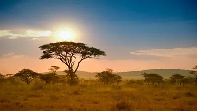 Why Kenya Is the Best Place for a Safari, According to a Seasoned Local  Guide