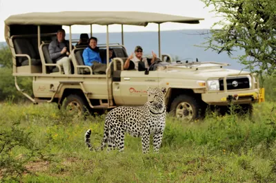 When is the Best Time to Safari in Kenya?