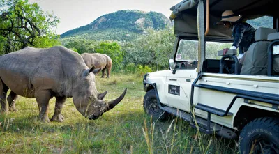 Safari Wilderness Ranch | Wild Animal Safari in Lakeland, FL