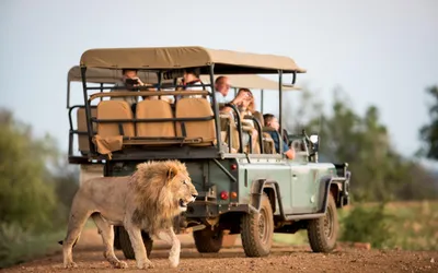 The best locally-owned safari camps in Africa | CN Traveller