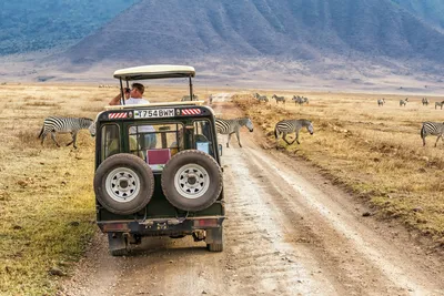 Tips to Staying Safe While You Are on Safari