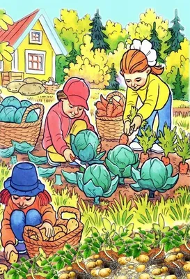 Картинки сбор урожая осенью для детей обои