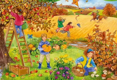 Осенний сбор. мужчины, женщины и дети собирают фрукты, овощи и ягоды.  укладка сена, рабочий набор векторных сезона урожая. иллюстрация сбора  урожая осенью, сбор урожая в сельском хозяйстве | Премиум векторы