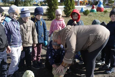 Урожай\" | Муниципальное автономное дошкольное образовательное учреждение  Детский сад №40 города Челябинска