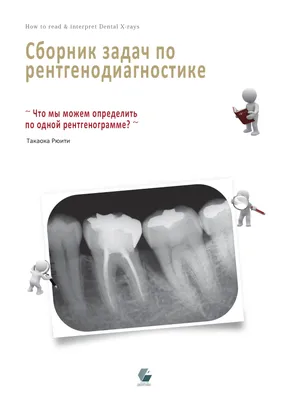 Написавший энциклопедии восьмиклассник рассказал, где черпает вдохновение -  Российская газета