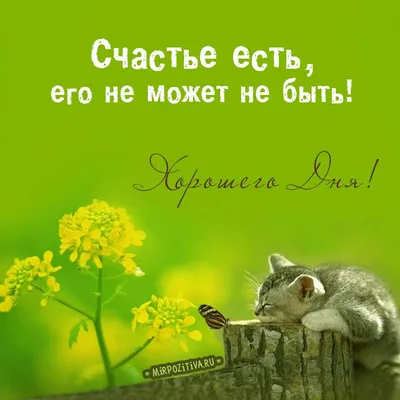 Счастье есть - Счастье есть added a new photo.