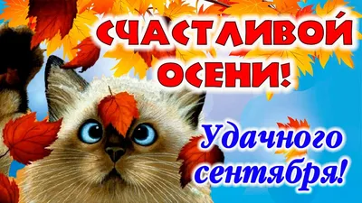 Счастливой Осени! (Love Story) Музыка для Души! - YouTube