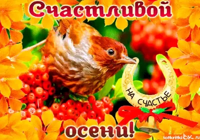 мероприятия для счастливой осени улучшат себе пути к счастливой и здоровой  осени. принять счастье жизни радостные привычки Стоковое Фото - изображение  насчитывающей полномочие, праздник: 228294042