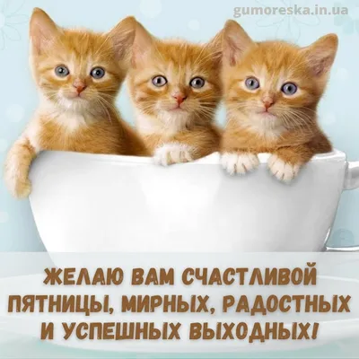 Счастливой пятницы и хороших выходных - фото и картинки abrakadabra.fun