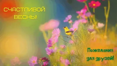 Ирина Скуловец - СЧАСТЛИВОЙ ВАМ ВЕСНЫ!!!!!! 💜💚💙😍✌️ #фото #цветы#весна  #настроение #красота #вдохновение | Facebook