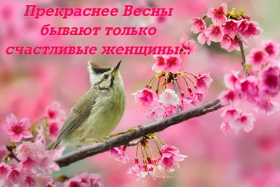 Композиция из 301 тюльпана Счастливая весна, Москва