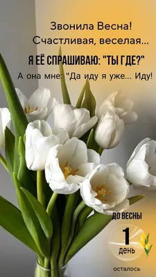 Milavitsa Georgia - Milavitsa Georgia желает вам самой тёплой и счастливой  весны!🌸Радуйтесь теплотой солнца и наслаждайтесь красотой цветущей  природы,ведь весна- это счастье!🥰 | Facebook
