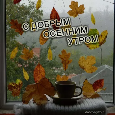 С добрым осенним утром! - Осень /Autumn - GIF АНИМАЦИЯ - Анимация - Страна  красоты Gif | Доброе утро, Святой дух, Анимация