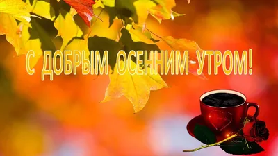 🍁С Добрым Осенним Утром!!!Доброе утро!🍂#доброеосеннееутро#сдобрымутр... |  TikTok