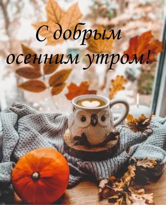 🍁 ⛅ ☕ Картинки С добрым осенним утром (240 шт.) | Осень, Открытки, Доброе  утро