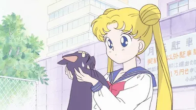 Sailor Moon: How to watch all the Sailor Moon anime shows and movies in  order | Popverse