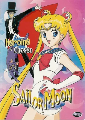 Sailor Moon (TV Series 1992–1997) - Connections - IMDb