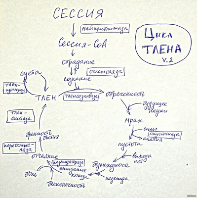 В ОмГПУ прошла проектная сессия «Соуправление университетом»