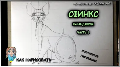 Канадский сфинкс кот приглашает кошечку на свидание., Вся Беларусь, 46751