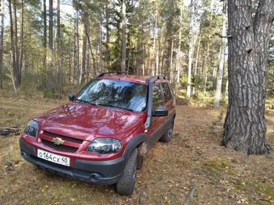 Chevrolet Niva - технические характеристики, модельный ряд, комплектации,  модификации, полный список моделей Шевроле Нива