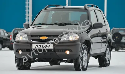 AUTO.RIA – Продажа Шевроле Нива бу: купить Chevrolet Niva в Украине