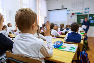 Школьники на уроке стоковое изображение. изображение насчитывающей женщины  - 64915579