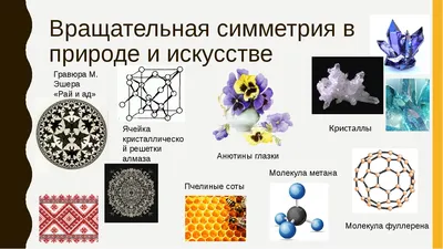 Картина 02 симметрии иллюстрация вектора. иллюстрации насчитывающей  украшение - 29287665