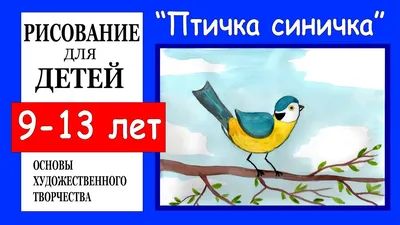 Раскраски Синичка для детей 3 4 лет (27 шт.) - скачать или распечатать  бесплатно #5838