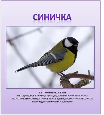 Птичка - синичка. Урок рисования для детей./The bird is a titmouse. Drawing  for children. - YouTube