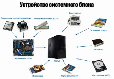 Системный блок: «сердце» и «мозг» любого ПК | Новости партнеров на РБК+  Екатеринбург