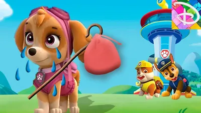 Paw Patrol Toys 🐾 Sky leaves the paw patrol - YouTube